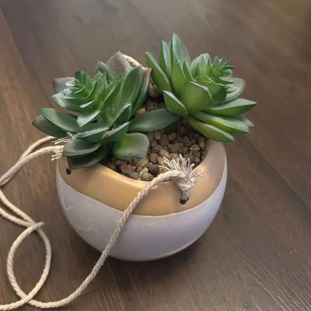 Faux Succulent + Macrame Hanging Plant Decor